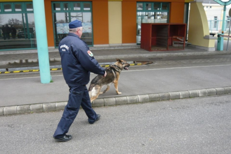 62,5 millió forint értékű drogot szagolt ki