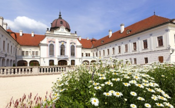 Gödöllőt szépíti a Jánosik Kft.