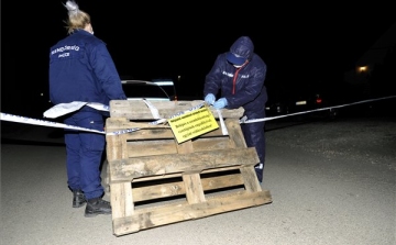 Gyilkosság miatt nyomoznak a Szentendrén talált emberi csontok ügyében